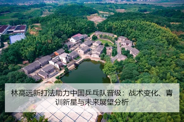 林高远新打法助力中国乒乓队晋级：战术变化、青训新星与未来展望分析